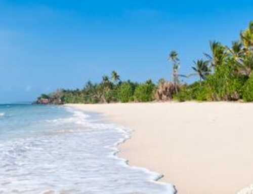 03 Days Diani Beach Flying Packages